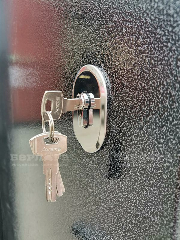 Сейф-дверь Тринити Хьюстон Силк маус