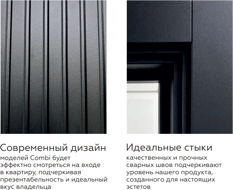 ВХОДНАЯ ДВЕРЬ Combi Band Niuta  Ice