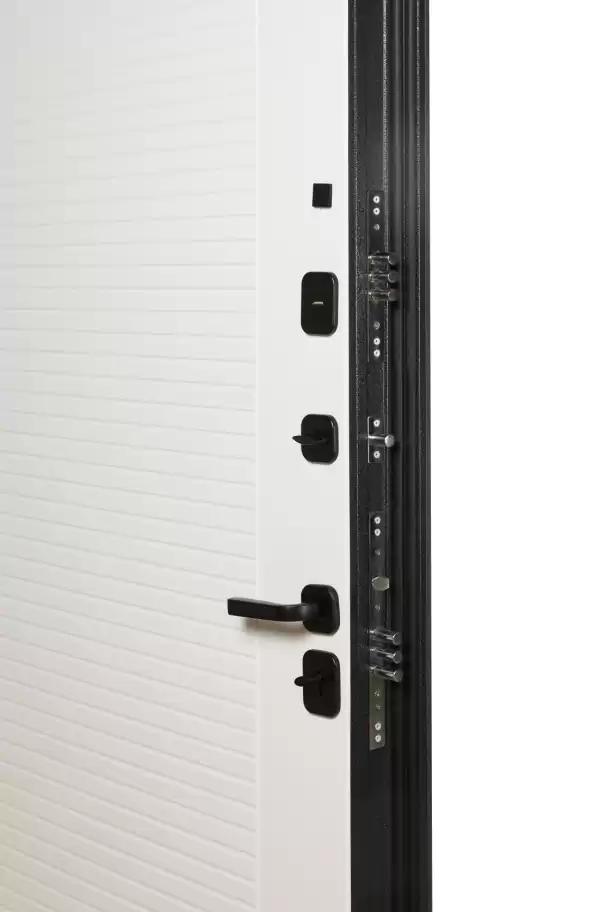 Входная дверь 10-2