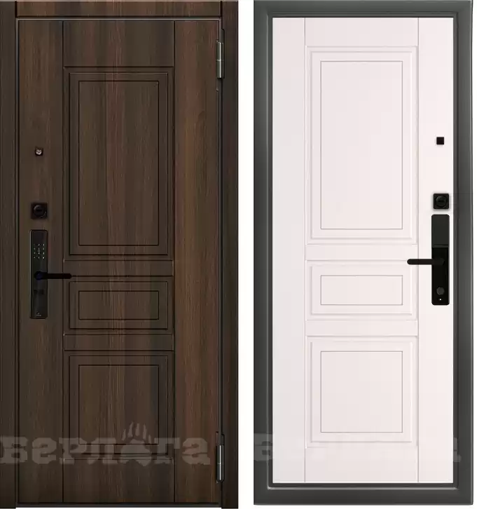 Входная дверь Кибер D-S10 Гаральд