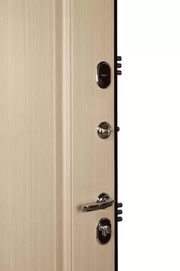 Входная дверь  7-2