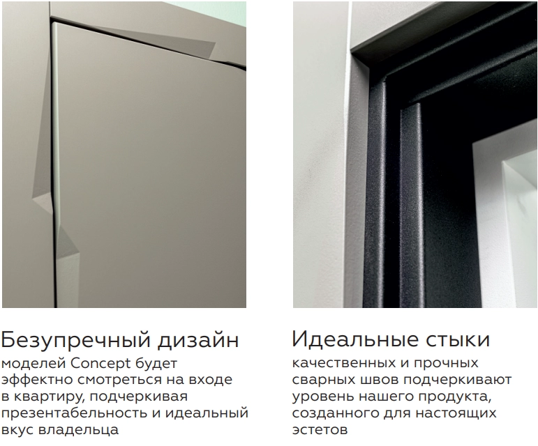 ВХОДНАЯ ДВЕРЬ Concept Pulse Niuta