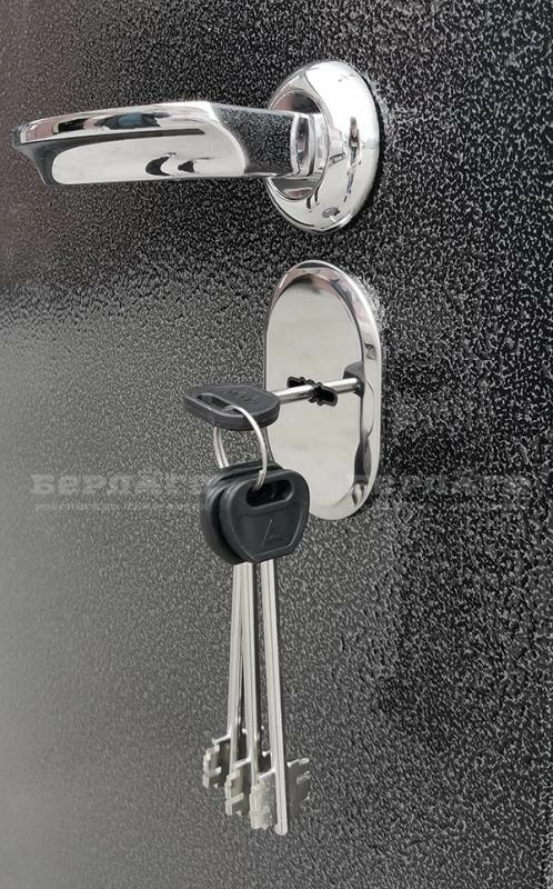 Сейф-дверь Тринити Хьюстон Силк маус