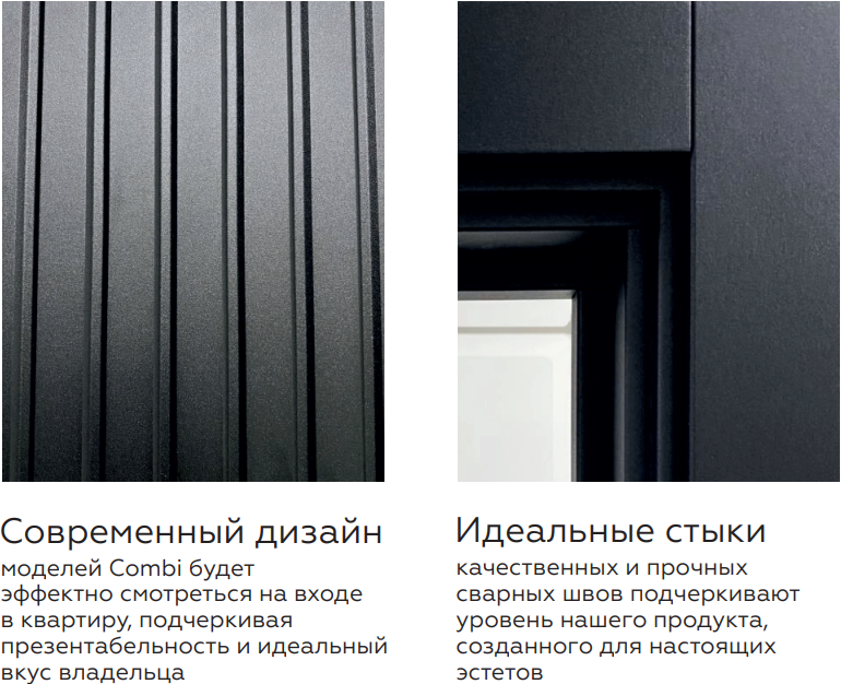 ВХОДНАЯ ДВЕРЬ Combi Band Niuta  Ice