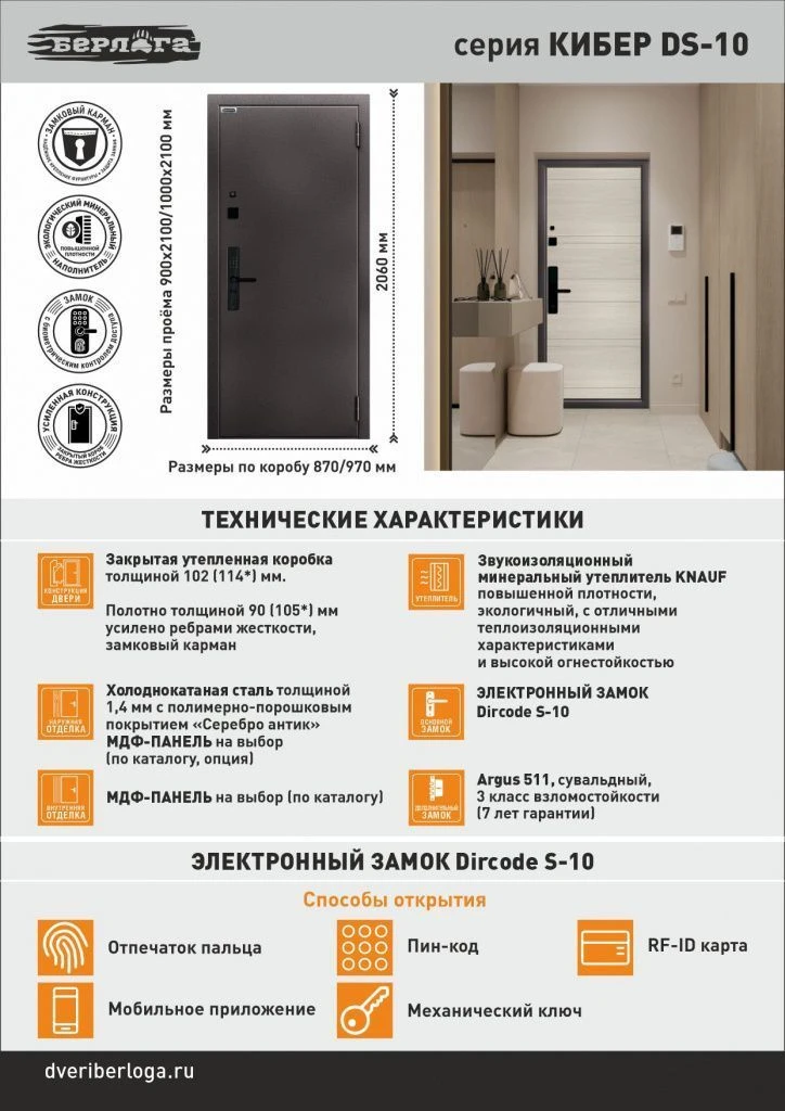 Входная дверь Кибер D-S10 Гаральд