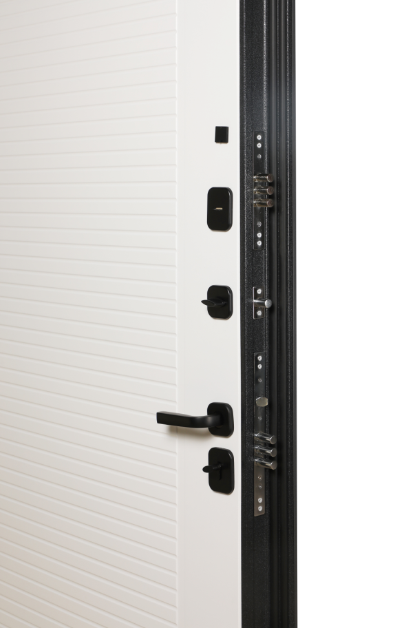 Входная дверь 10-2