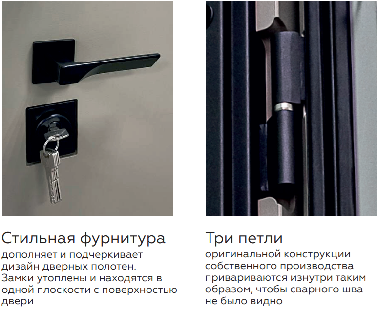 ВХОДНАЯ ДВЕРЬ Concept Pulse Niuta