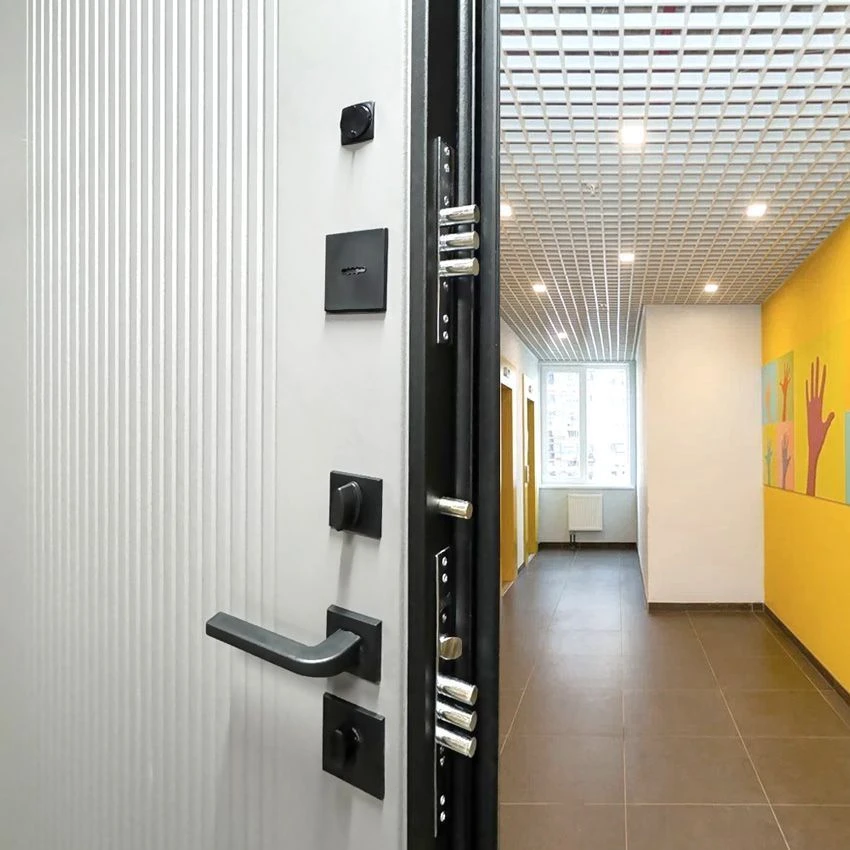 Входная дверь Тринити УП Энигма