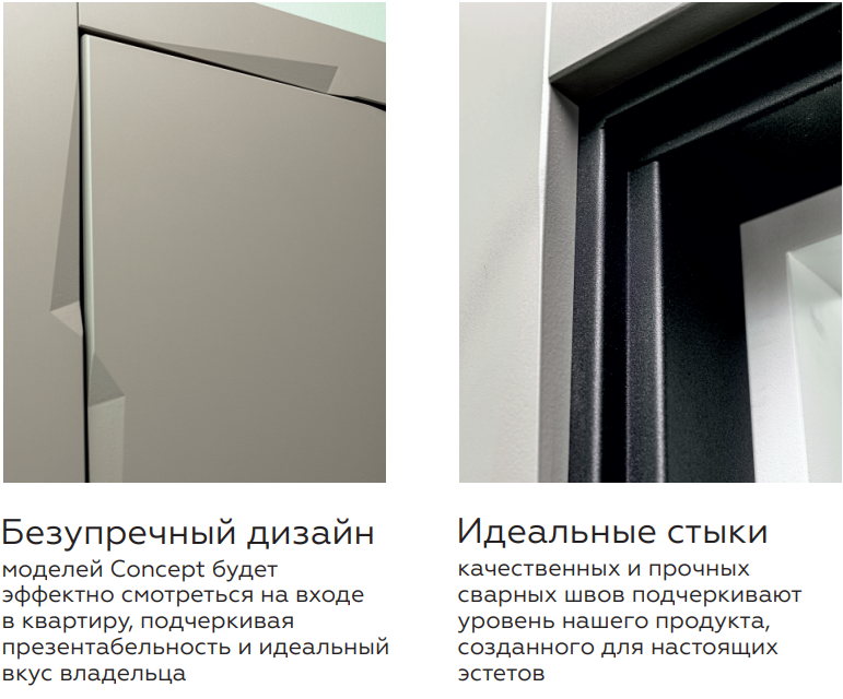 ВХОДНАЯ ДВЕРЬ Concept Pulse Niuta