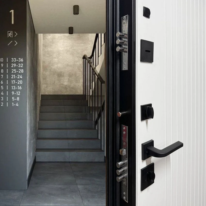 Входная дверь Тринити УП Энигма